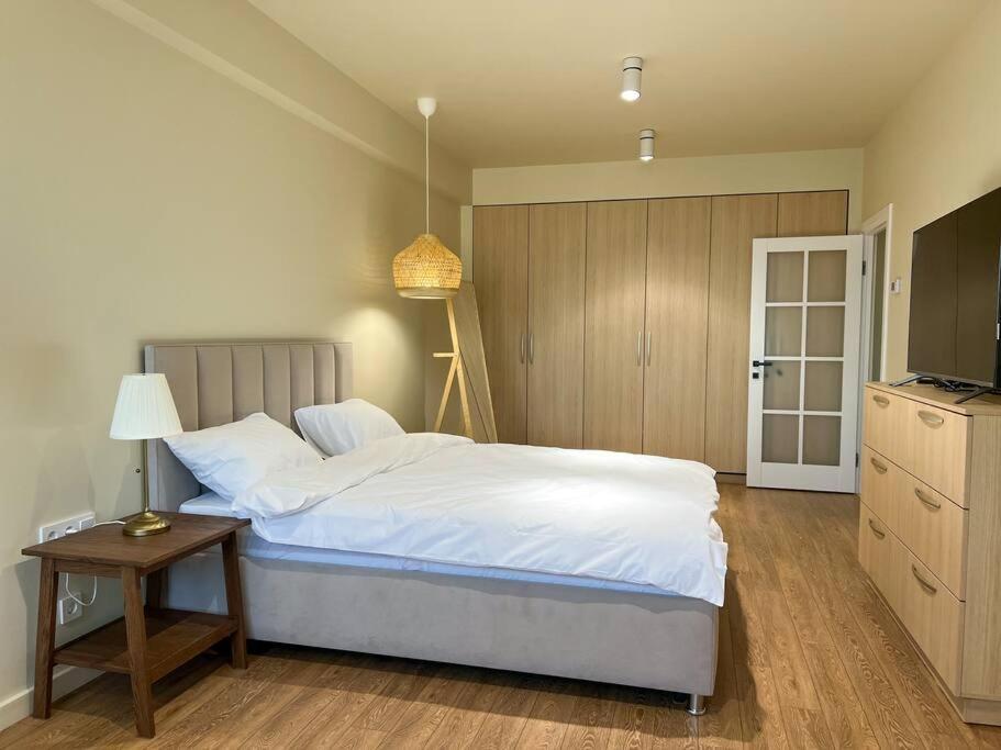 2 Bedroom On Ismail Corner Stefan Cel Mare, New Apartment, Chisinau Center! Экстерьер фото